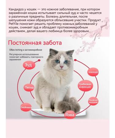 Spray from a cutting lichen 100 ml - Buy Online on GoSupps.com