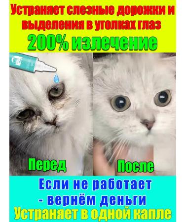 Drops for the eyes of dogs and cats 60