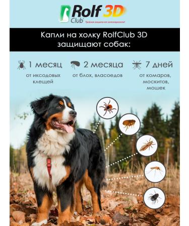 Rolf Club 3D Rolfclub 3D Dog drops 40-60 kg - R424 - Buy Online on GoSupps.com