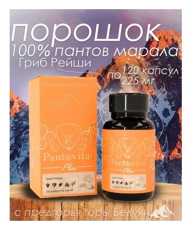 Reishi and Panta Maral Mushroom