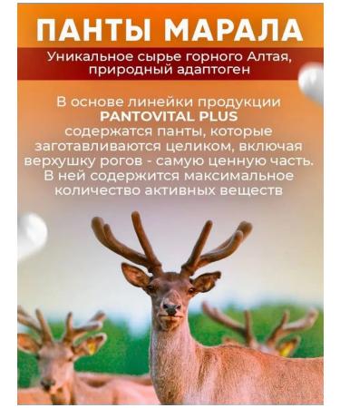 Reishi and Panta Maral Mushroom - Buy Online on GoSupps.com