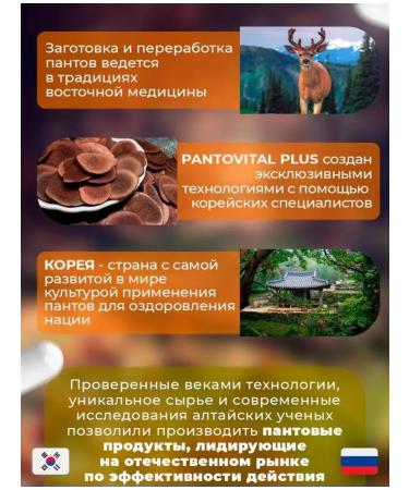 Reishi and Panta Maral Mushroom - Buy Online on GoSupps.com