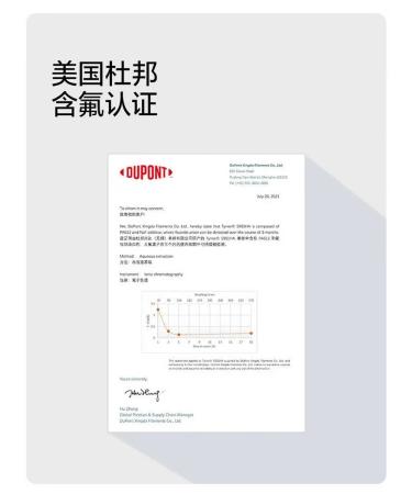 NEMILE CHILDEN CHILDEN CHALE CHROULD DINOSABER Green 3-12 years old - Buy Online on GoSupps.com