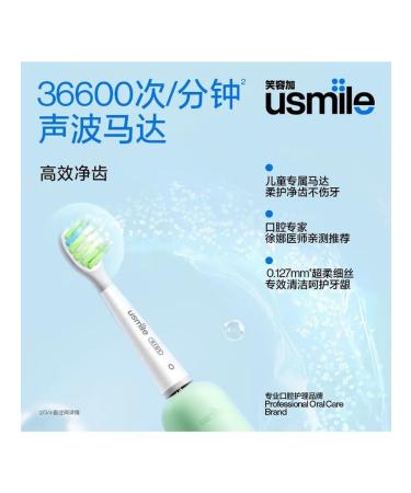 NEMILE CHILDEN CHILDEN CHALE CHROULD DINOSABER Green 3-12 years old - Buy Online on GoSupps.com