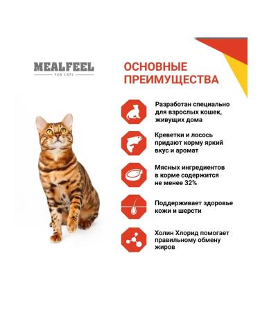 Mealfeel Wet food for cats salmon and shrimp in the sauce 85 grams - Buy Online on GoSupps.com
