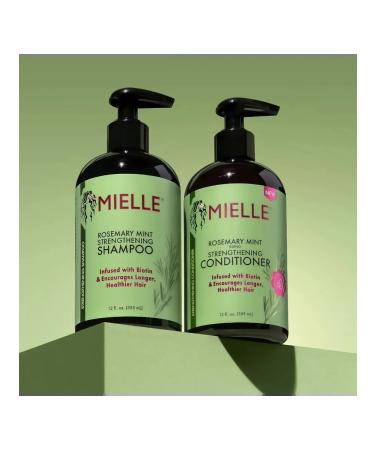 Mielle Professional shampoo + air conditioning + hair growth - Buy Online on GoSupps.com