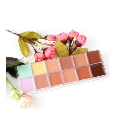Concealer 12 colors - Buy Online on GoSupps.com