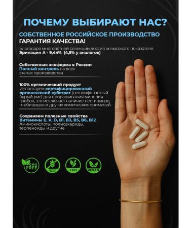 SHIVATEX Ezhovik creped mycelium 200 natural capsules - Buy Online on GoSupps.com