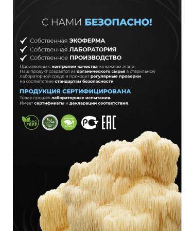 SHIVATEX Ezhovik creped mycelium 200 natural capsules - Buy Online on GoSupps.com