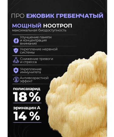 SHIVATEX Ezhovik Capsules Extract of Mycelium 120 pcs Nootrop - Buy Online on GoSupps.com