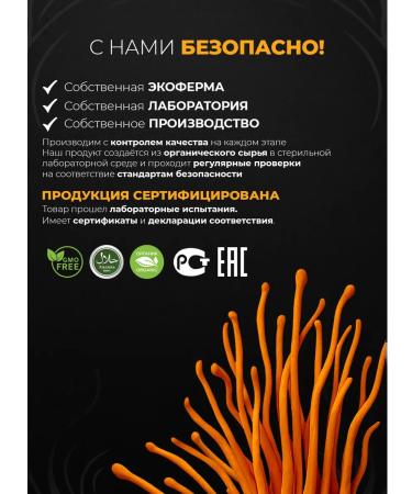 SHIVATEX Cordyceps military capsule dietary supplement mushroom for energy testosterone - Buy Online on GoSupps.com