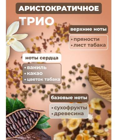 Cleanberg Perfumed liquid soap - hand and body foam - Buy Online on GoSupps.com