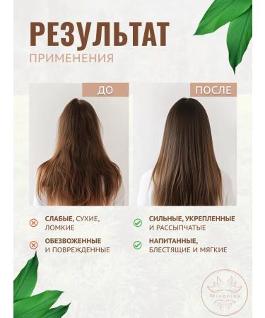 MILOLIKA Hair growth shampoo strengthens 400 ml with ginger - Buy Online on GoSupps.com