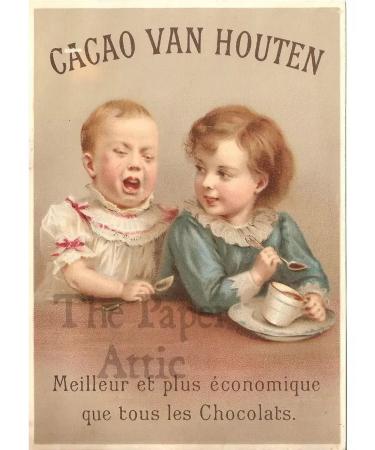 Van Houten Hot chocolate natural special bar cocoa 32% 1 kg - Buy Online on GoSupps.com