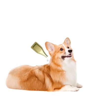 ASTRAPHARM Blochnet Forte Drops from Flea Ticks for Dogs from 5 to 10 kg - Buy Online on GoSupps.com