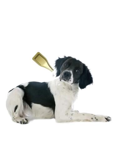 ASTRAPHARM Blochnet Forte Drops from Flea Ticks for Dogs from 10 to 20 kg - Buy Online on GoSupps.com