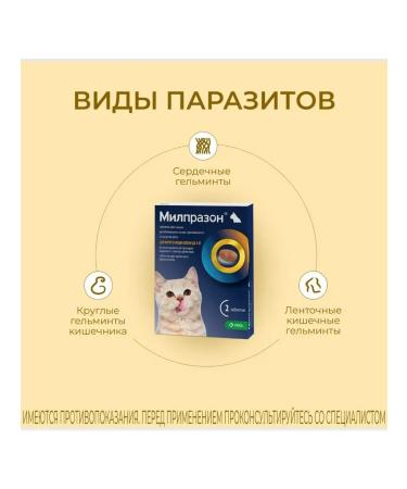 KRKA Milprazon tablets from helminths for cats 2 tab - Buy Online on GoSupps.com