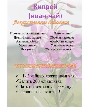 forest GREDI Ivan Tea Enzymed Natural - Buy Online on GoSupps.com