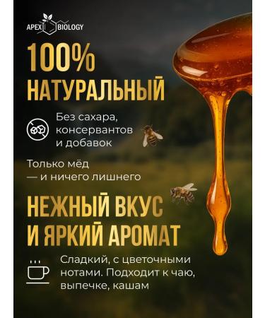 APEX BIOLOGY Honey natural mountain Altai useful product 250g - Buy Online on GoSupps.com