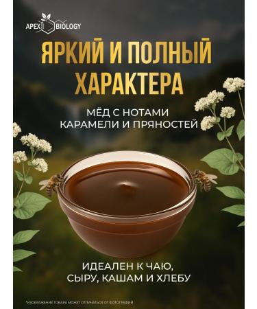 APEX BIOLOGY Honey natural buckwheat Altai useful product 250g - Buy Online on GoSupps.com