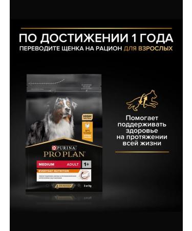 PRO PLAN Middle puppies Medium Puppy Sensitive Skin salmon 12kg - Buy Online on GoSupps.com