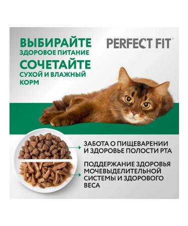 PERFECT FIT Dry food for sterilized cats with chicken 190g - Buy Online on GoSupps.com