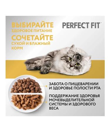 PERFECT FIT Dry food for sensitive cats with turkey 190g - Buy Online on GoSupps.com
