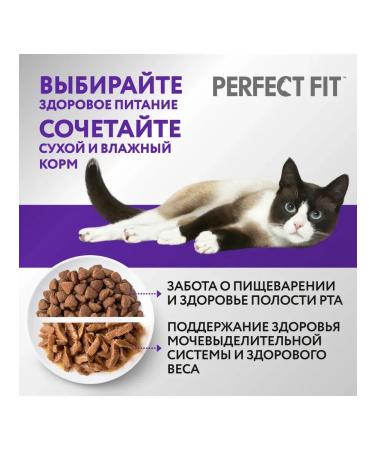 PERFECT FIT Dry food for cats with salmon 650g - Buy Online on GoSupps.com