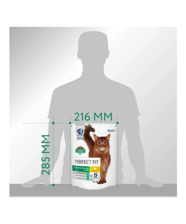 PERFECT FIT Dry food for sterilized cats with chicken 650g - Buy Online on GoSupps.com