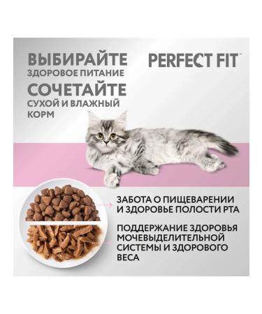 PERFECT FIT Dry food for kittens with chicken 650g - Buy Online on GoSupps.com