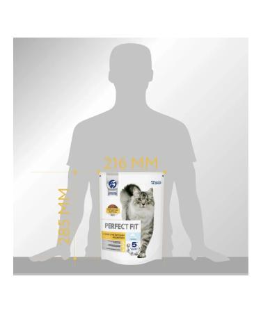 PERFECT FIT Dry food for sensitive cats with salmon 650g - Buy Online on GoSupps.com