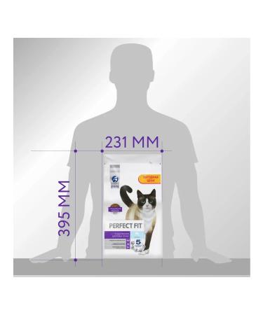 PERFECT FIT Dry food for cats with salmon 2.5kg - Buy Online on GoSupps.com