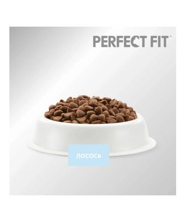 PERFECT FIT Dry food for cats with salmon 2.5kg - Buy Online on GoSupps.com