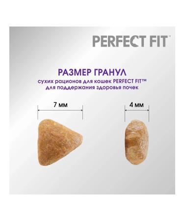 PERFECT FIT Dry food for cats with salmon 2.5kg - Buy Online on GoSupps.com