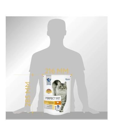 PERFECT FIT Dry food for sensitive cats with turkey 650g - Buy Online on GoSupps.com