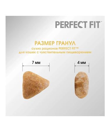 PERFECT FIT Dry food for sensitive cats with turkey 650g - Buy Online on GoSupps.com