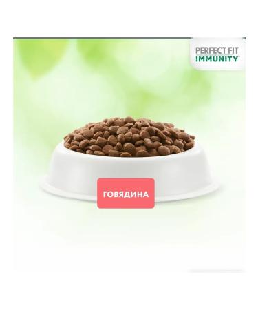 PERFECT FIT Dry Immunity food for cats with beef 5.5kg - Buy Online on GoSupps.com