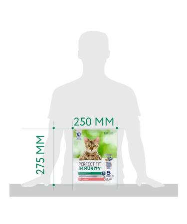 PERFECT FIT Dry Immunity food for cats with beef 1.1kg - Buy Online on GoSupps.com