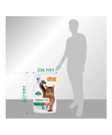 PERFECT FIT Dry food for sterilized cats with beef 10 kg - Buy Online on GoSupps.com