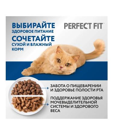 PERFECT FIT Dry food for domestic cats with chicken 650g - Buy Online on GoSupps.com