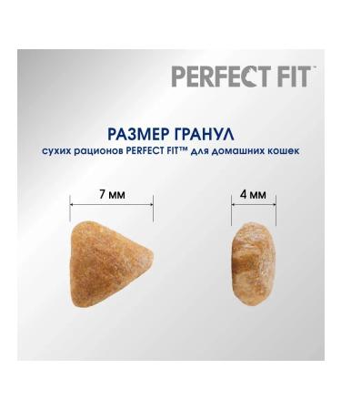 PERFECT FIT Dry food for domestic cats with chicken 650g - Buy Online on GoSupps.com