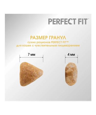 PERFECT FIT Dry food for cats with turkey 10kg - Buy Online on GoSupps.com
