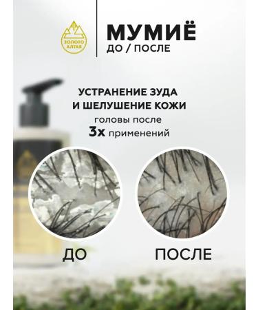 Gold of Altai Shampoo Restoring and strengthening with mummy - Buy Online on GoSupps.com