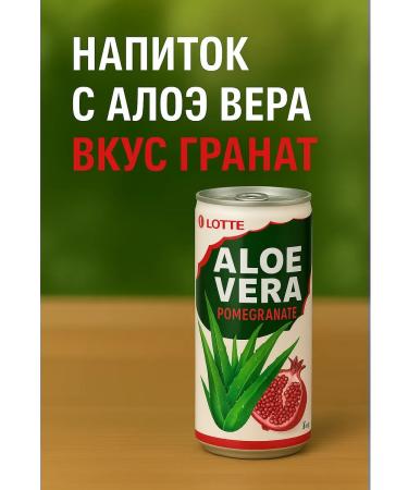 Lotte Aloe Vera Sokom -containing aloe grenade 6 pcs - Buy Online on GoSupps.com