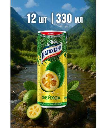 Lemonada Natamtari Feihoa 12 pcs 0 33 liters