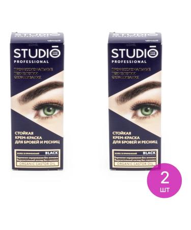 Studio Professional Essem Hair Painting for eyebrows and eyelashes Studio Professional Black 2 pcs