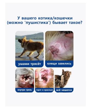 Ear drops from animals tick 60 ml - Buy Online on GoSupps.com