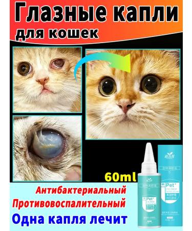 Eye drops to cats 60 ml