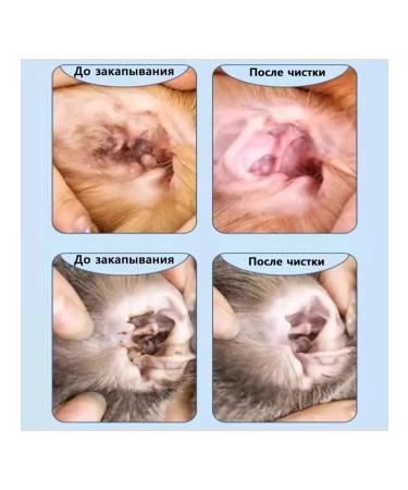 Ear drops for dogs and cats 120 ml - Buy Online on GoSupps.com