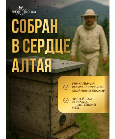 APEX BIOLOGY Honey natural taiga Altai useful product 250g - Buy Online on GoSupps.com